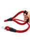 Reflective Dog Walking Leash with Red Soft Handles - 2