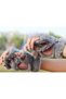 Paw Glove Cat Soft Fluffy Cat Gray - 3