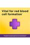 Iron High Potency Ferrous Sulfate Iron Supplement 45 mg 100 Tablets - 7