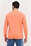 Men Crew Neck Brand Logo Sweatshirt, Coral - 3