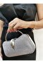 Women's Evening Big Stone Look Platinum Smoked Shiny Chain Wedding Night Bag - 3