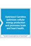 Optimized Carnitine, 60 capsules - 4