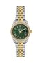 Dk.3.10020-5 Steel Plated Curved Calendar Roman Numeral Metallic-Gold Color Women's Wristwatch