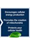 Mitochondrial Energy Optimizer with PQQ, 120 Capsules - 8