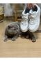 White Women's Sneakers Daily Shoes - 6