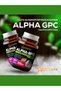 Sirius Alpha Gpc L-Alpha Glyceryl Phosphorylcolin 300 Mg 60 Capsules 3 Pieces (Memory Booster) - 5