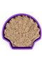 Seashell Purple 6054245 - 3