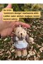 Cute Plush Teddy Bear Keychain Bag And Wallet Accessory Gift