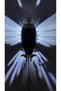 Premium Painted Eagle Night Light Sconce with Eagle Figure (Painted with Adapter) - 5
