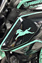 Raider and Rtr Compatible Mint Green Tvs Group at Logo Sticker - Right and Left Sticker