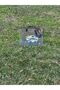 Hologram Pvc Printed Beach Bag - 6