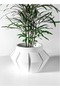 Erno Plant Container with Integrated Drainage - 2