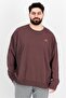 Men Sportswear Fit Long Sleeve Embroidered Logo Sweaters, Brown