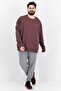 Men Sportswear Fit Long Sleeve Embroidered Logo Sweaters, Brown - 3