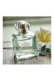 Today Tomorrow Always This Love EDP 50ml - 2