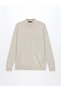 Lcw Vision Beige Standard Fit Stand Collar Men's Knitwear Cardigan