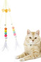 Elastic Worm Model - Cat Toy and Fishing Rod with Adhesive Bells - 5