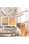 Steam Hair Collection Comb - Cat Dog Pet Hair Collection Brush and Comb - 7