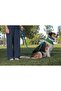 Jewel Soft Dog Chest Collar Set - 3