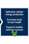 Optimized Carnitine, 60 capsules - 3