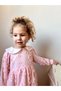 Pink Rose Figured Seasonal Cotton Lined Long Sleeve Baby Girl Dress - 5
