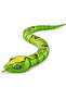 31" Giant Python S1 7169 - 2