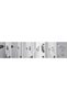Pvc Pimapen Keyed Glass Lock Steel Rope Burglar Lock Baby Child Safety Lock - 5
