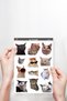 Cats Temalı Laptop Notebook Tablet Sticker Set 3 - 3