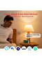 Motion Human sensor for Home Security and Safety System - 5