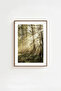 One Piece Brown Real Wood Framed Painting Set - Model 7 - 2