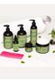 Rosemary Mint Strengthening Hair Care Set - Shampoo, Conditioner, Hair Mask, Edge Gel, Hair Oil - 6