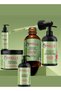 Rosemary Mint Strengthening Hair Care Set - Shampoo, Conditioner, Hair Mask, Edge Gel, Hair Oil - 2
