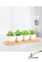 Bamboo Presentation Plate, Seasoning Stand, Oil Pot Stand, Bamboo Snack Bowl 3 Pieces - 2