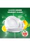 Dishwashing Liquid | Lemon | 1.25 L x 2 | Deep Clean Grease Removal - 6