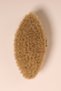 Set of 3 Natural Horsehair Cellulite Brush (VANILLA) Face Brush Nail Brush - 3