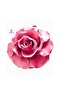 13cm 3D Large Rose Flower Silicone Mold K-1007 K-055B, Scented Stone Soap Candle Mold - 3