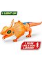 1 Piece Frilled Neck Lizard Assortment - 3