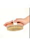 Natural Horsehair Cellulite Brush - 3