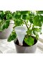 Self-Watering Container Inside the Pot Volume 250 ml Ikea Soil Watering Assembly Plastic Waterer