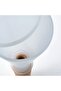 Self-Watering Container Inside the Pot Volume 250 ml Ikea Soil Watering Assembly Plastic Waterer - 4