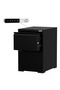 Godrej 2 Drawer Digital Filing Cabinet with Touch Screen Lock Steel Black