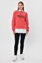 SWEATSHIRT WITH FLEECE INSIDE AND PRINT DETAIL(E24-00174)