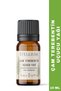 Rosemary Oil 10 ml, Pine Turpentine Oil 10 ml 100% Natural 2-Piece Set - 5