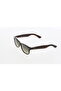 3475 02 Sunglasses