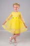 Dream Luxury Lace Girls Dress Mnk0327 Yellow - 3
