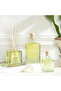 Reed Diffuser 500 ML Natural Flowers - 3