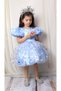 Girl's Dress, Elsa Dress, Balloon Sleeve, Frozen Dress, Birthday Dress - 7
