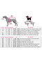 Small Breed Black Heart Dog Menstrual Underwear (0.5-10kg) - 2