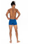 Male, Licensed, Uspa, (Cobalt Blue, Yellow, Dark Blue), 3-Boxer - 6