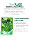 Aloe Vera Extract Face Mask 10 Pack (soften and Even Skin Tone) - 3